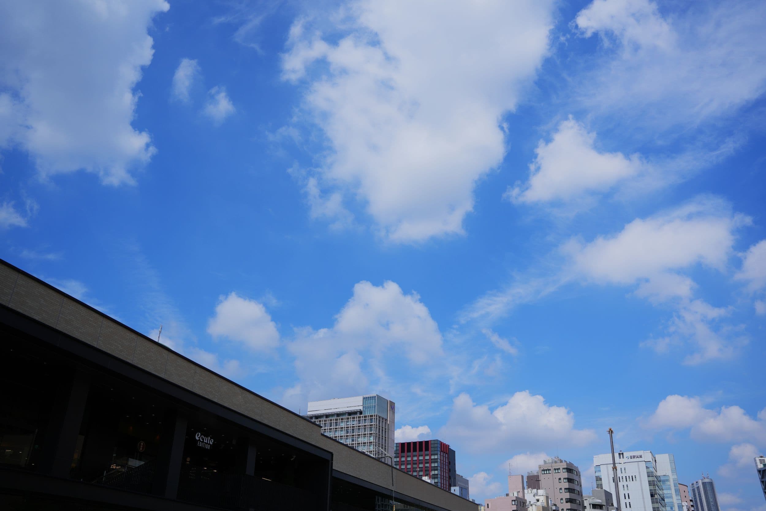 dsc00758.jpg